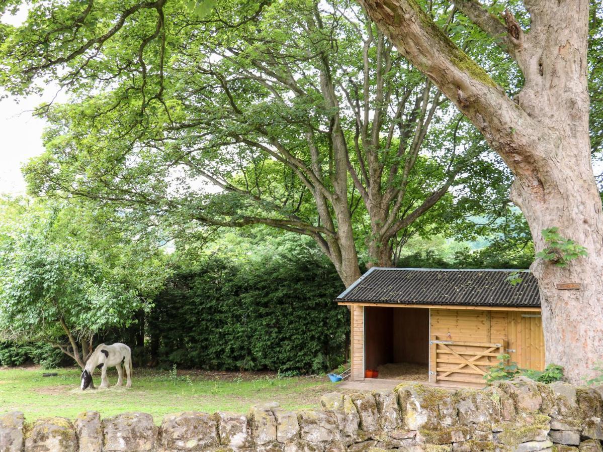 Bluebell Cottage Alfreton Kültér fotó